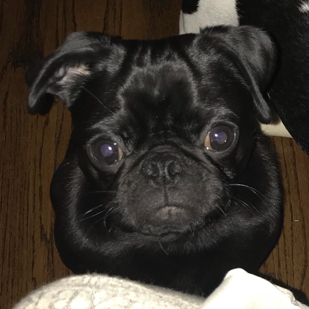 Meet your Posher, Kim